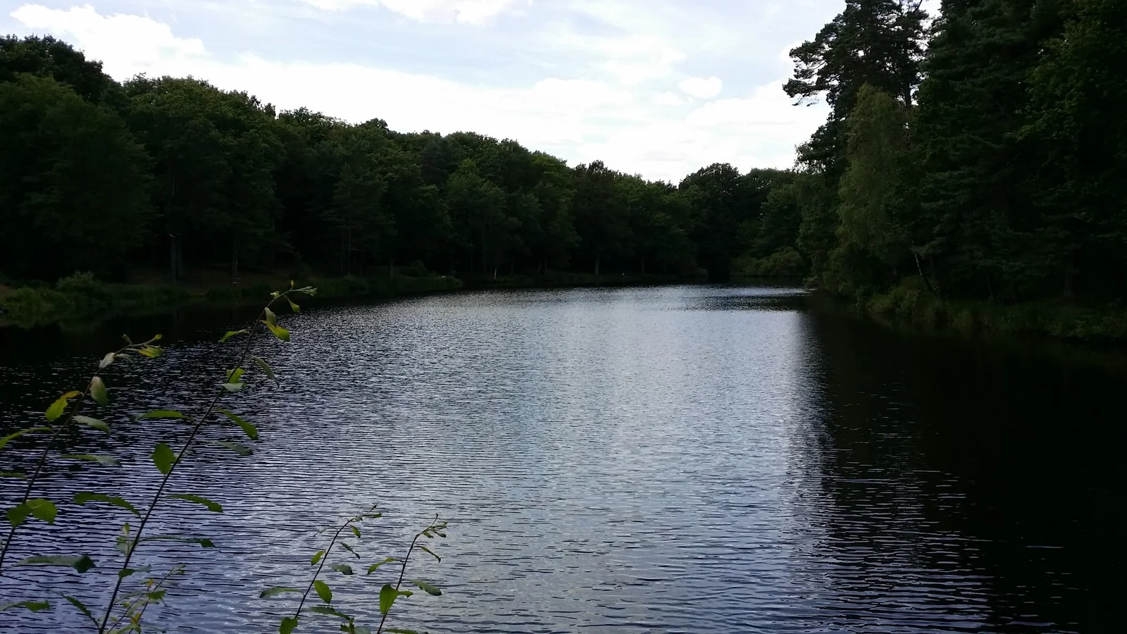 Etang du coupé gorge