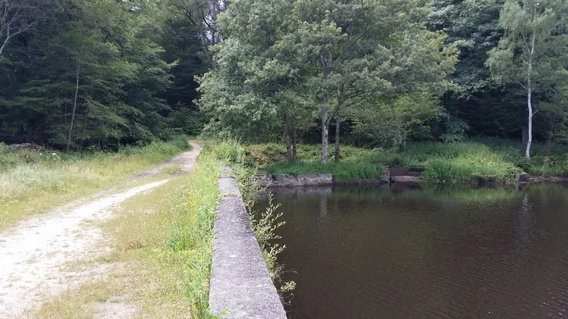 Etang du gruyer